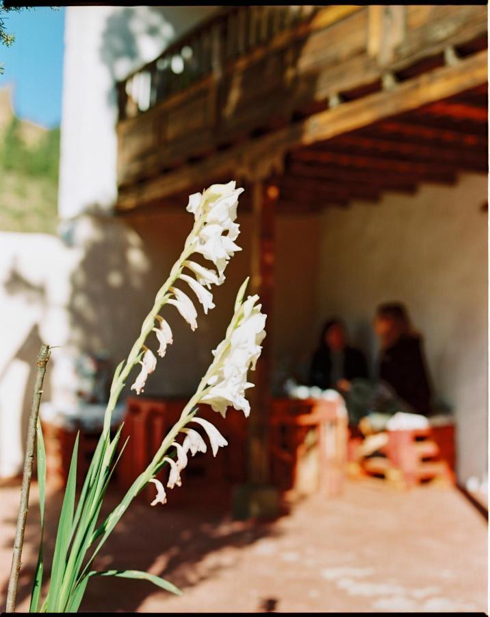 Casa Rural Lomito del Pino Tejeda  Esterno foto