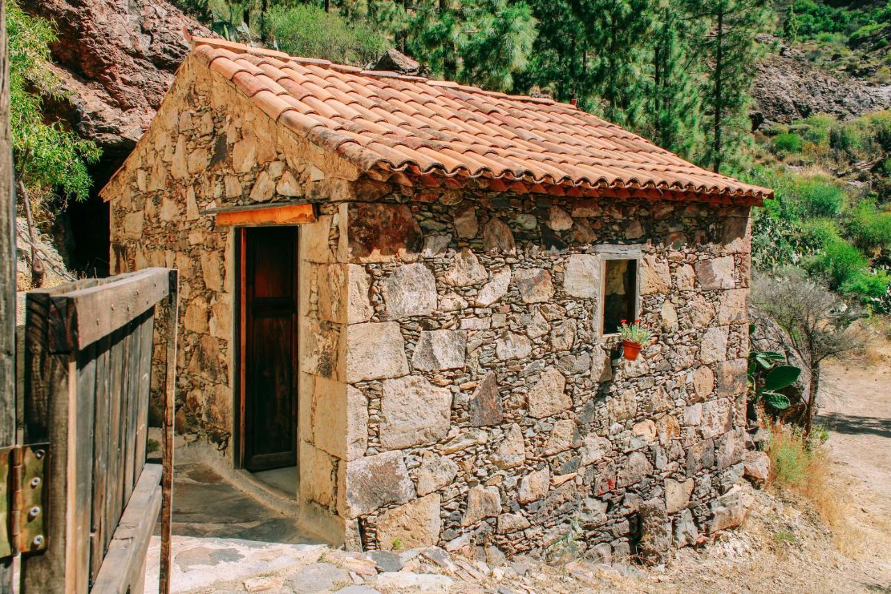Casa Rural Lomito del Pino Tejeda  Esterno foto
